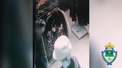 Подарок не удался: полицейские раскрыли кражу шубы из торгового центра Сыктывкара