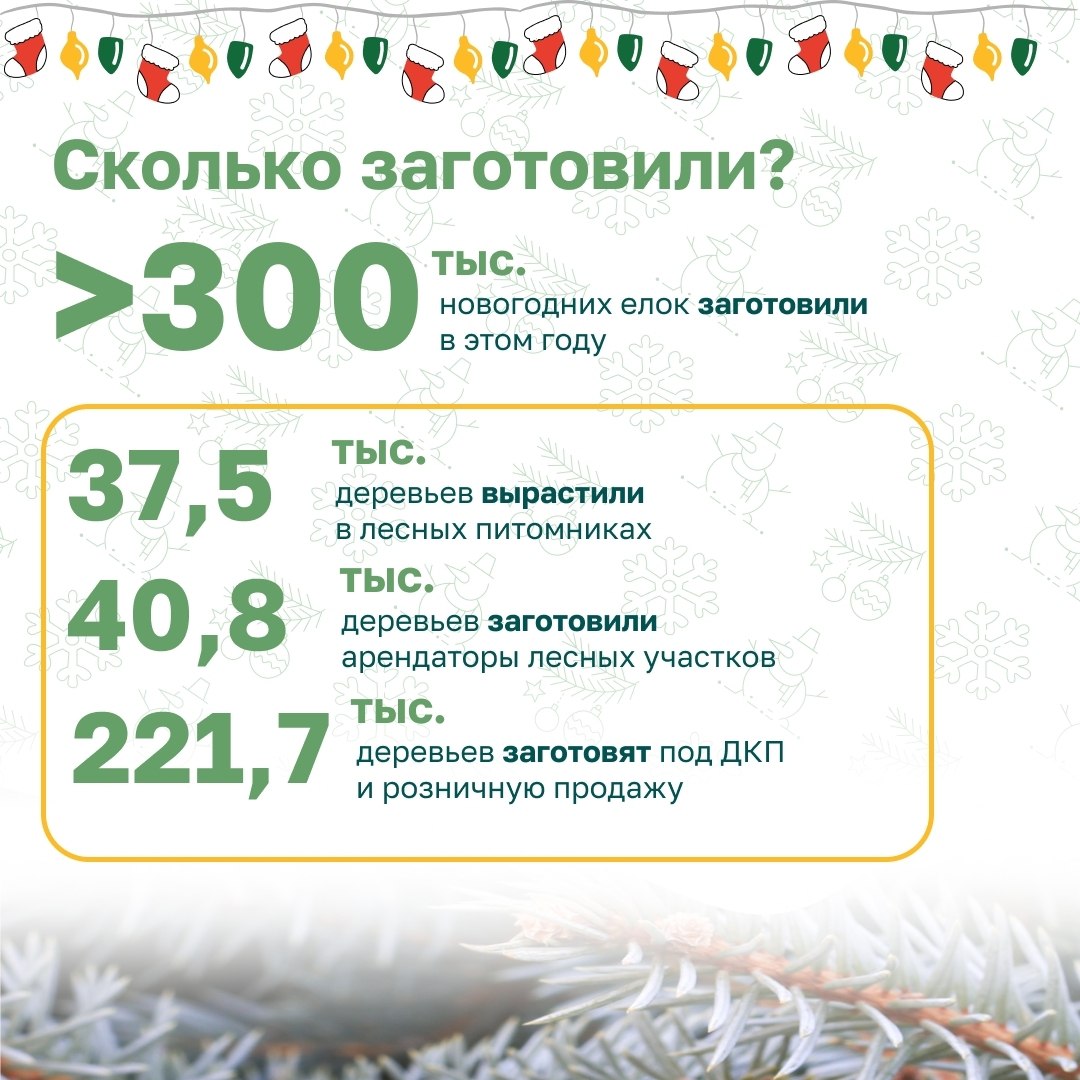 Настало время наряжать ёлку Настало время наряжать ёлку