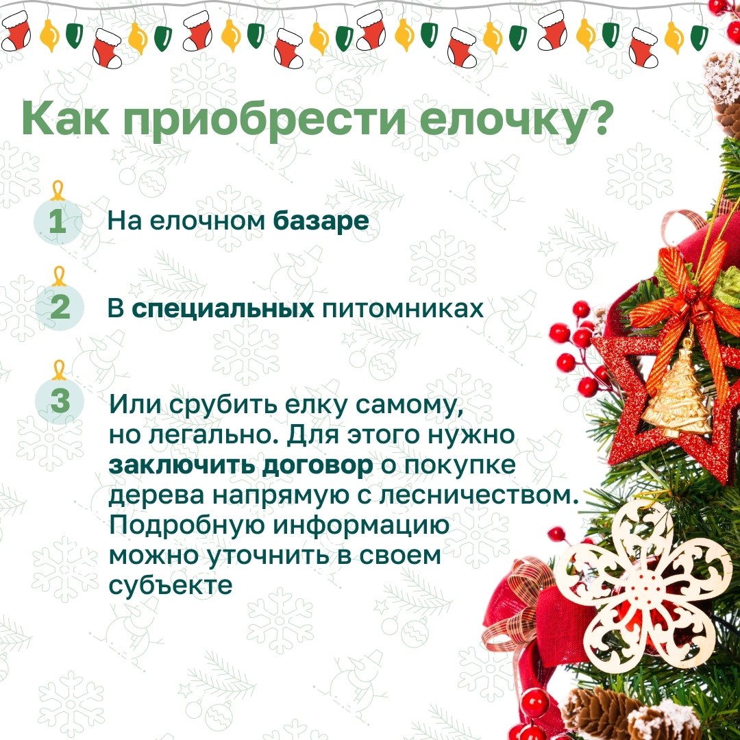 Настало время наряжать ёлку Настало время наряжать ёлку