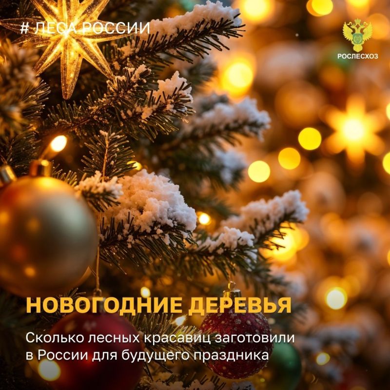 ������� ����� �������� ����