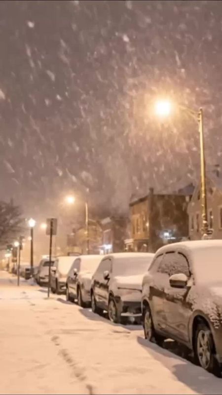 � ���������� ���� ������� ������ ����