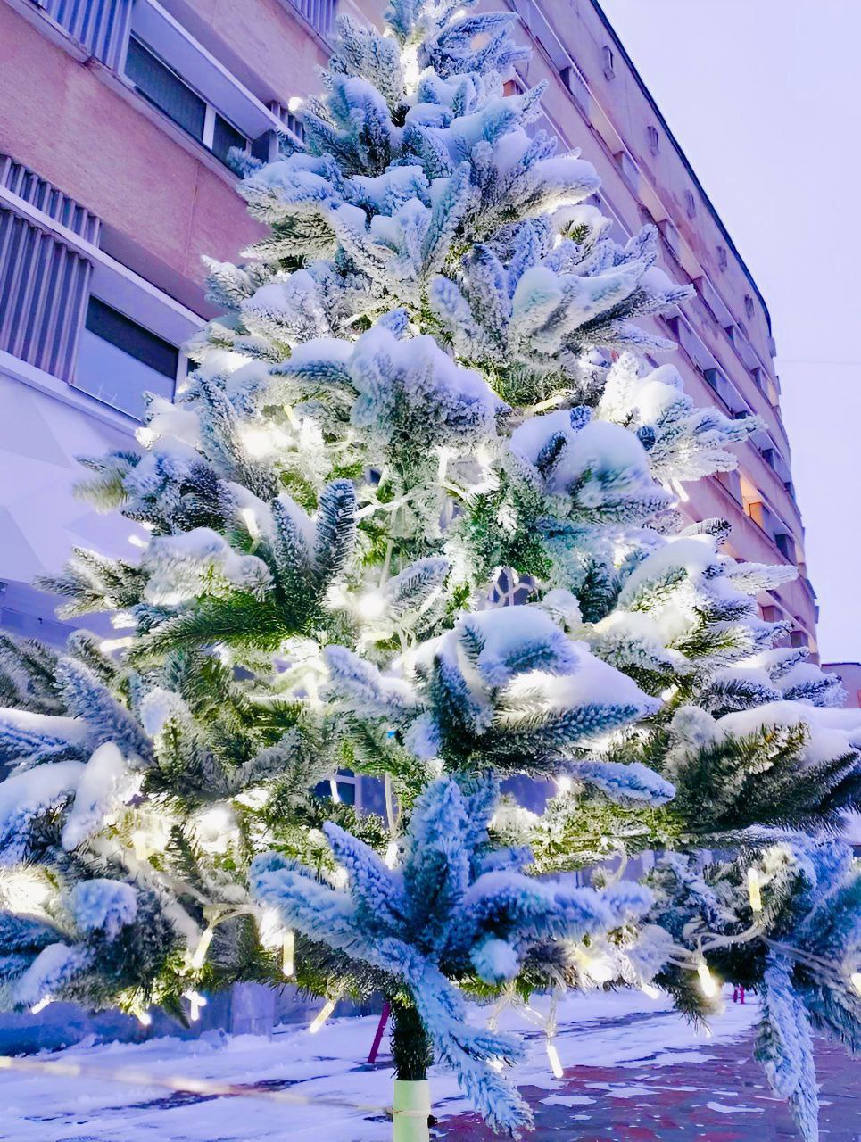 Максим Мартышин: Фото вечернего Сыктывкара от подписчиков Максим Мартышин: Фото вечернего Сыктывкара от подписчиков