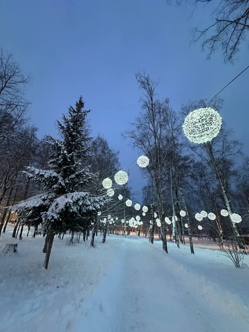 Максим Мартышин: Друзья! На улицах , с каждым днём, появляется всё больше праздничных украшений, делитесь настроением и фотографиями Максим Мартышин: Друзья! На улицах , с каждым днём, появляется всё больше праздничных украшений, делитесь настроением и фотографиями