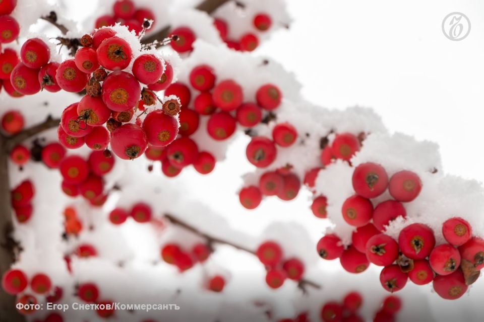 �� �� ������������ ������� ������ ��������� ���������� � 19 ������� ����� ����������� � ������� �� 4-6� ���� �����