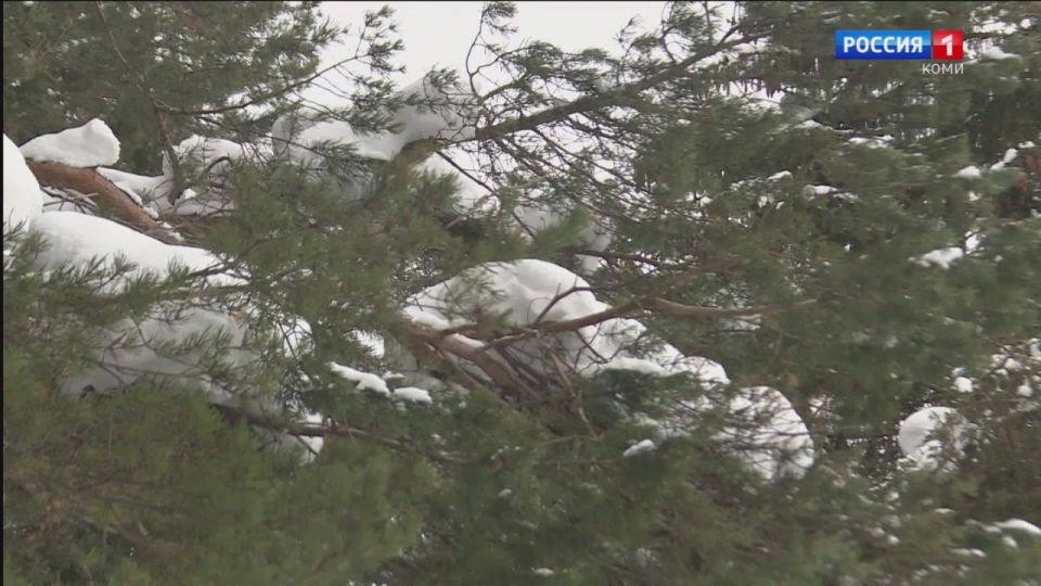 ������ �� ������: � ���� �������� ������� �����������