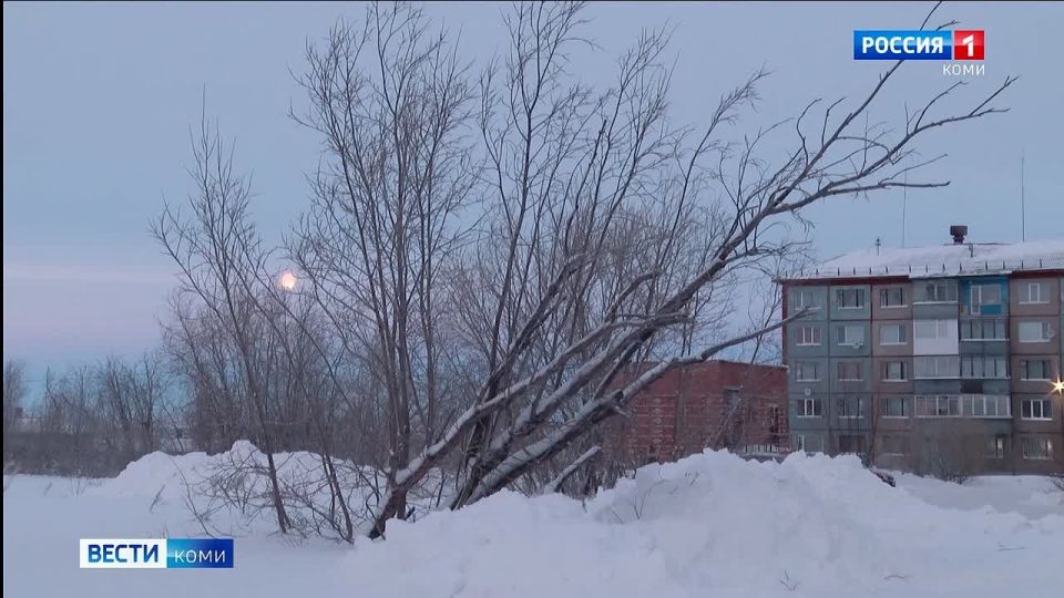 � ��������� ������ �������� ����