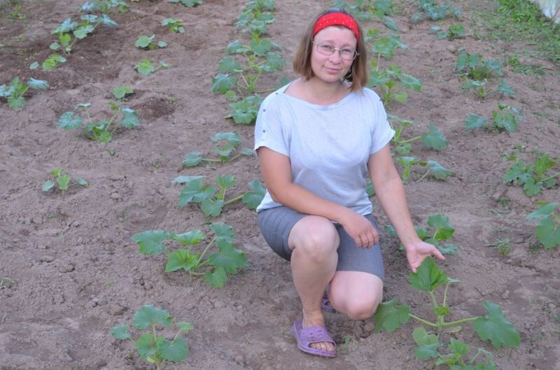 ��� �������� ������� �������� �� ������ ����