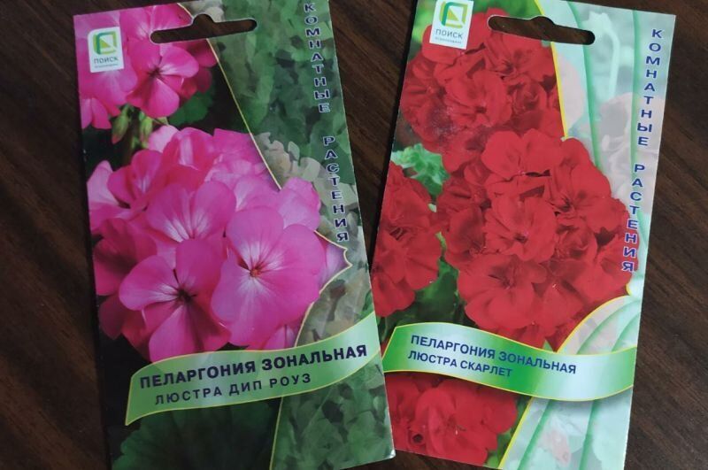 ������� ������� ������ ����������