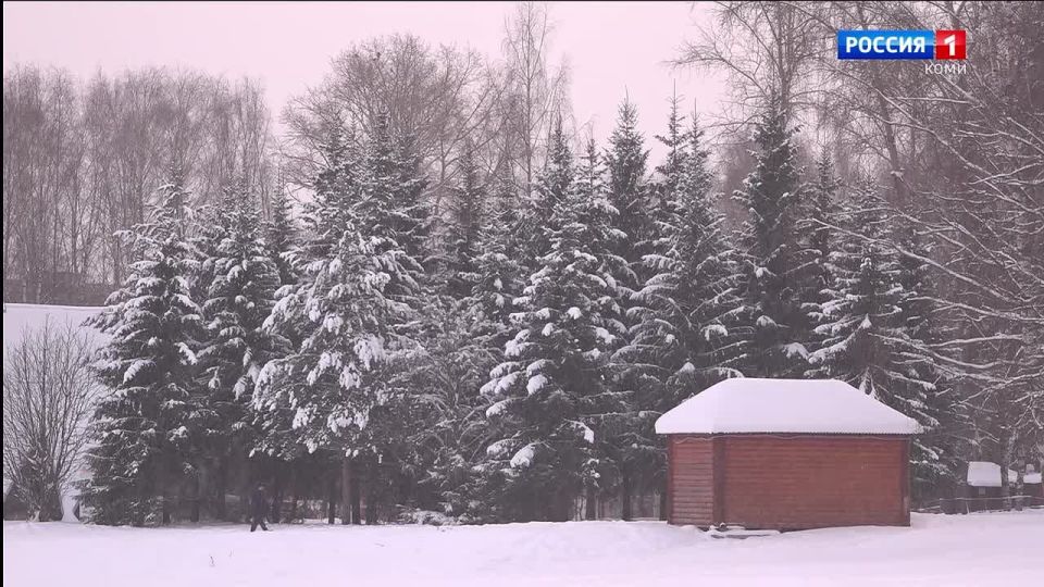 ������� ������ �� ��������