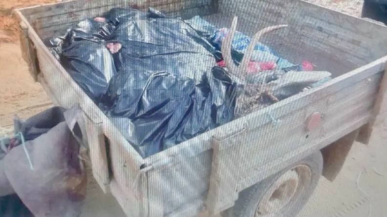 � ���������� ������ ������������ ���������� ��������� ���� �� ����� ���������� ������ ����