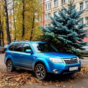 ��� ���� ������ �� ������ ������� � ���� ��-�� ������������� ���