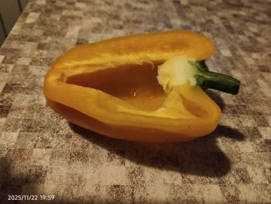 ������� ��������� ����������� �������� �����: �� ������ ����� �� ����� ������