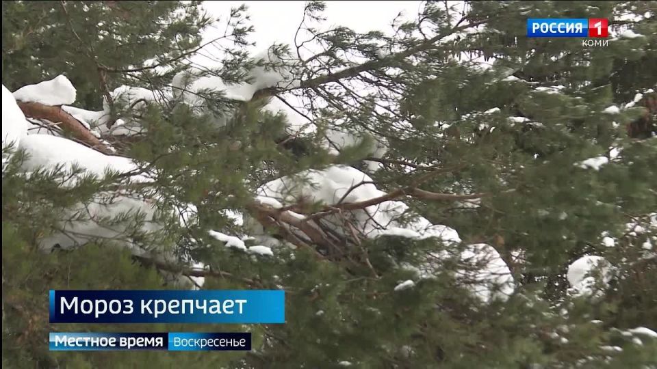 ������������� ������ ���� ����� � ����������� ��������, ������� ���������