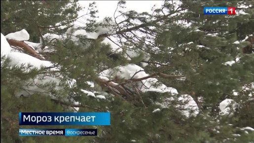 Предпоследняя неделя года будет с аномальными морозами, обещают синоптики