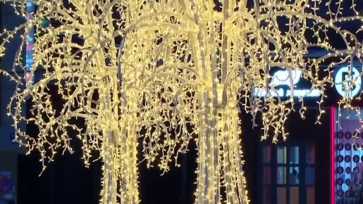 ������ ��������: � ���� ���� ������� ���� ������������ �����: ���������� ��������� �������� �������� �������� � ����������� �����