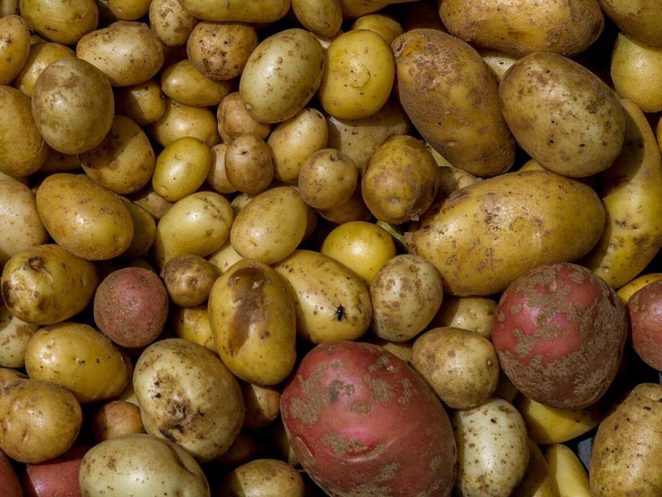 ������� ��������� ���������� ������ ���������: ��� ������� ����� � ������� �����?