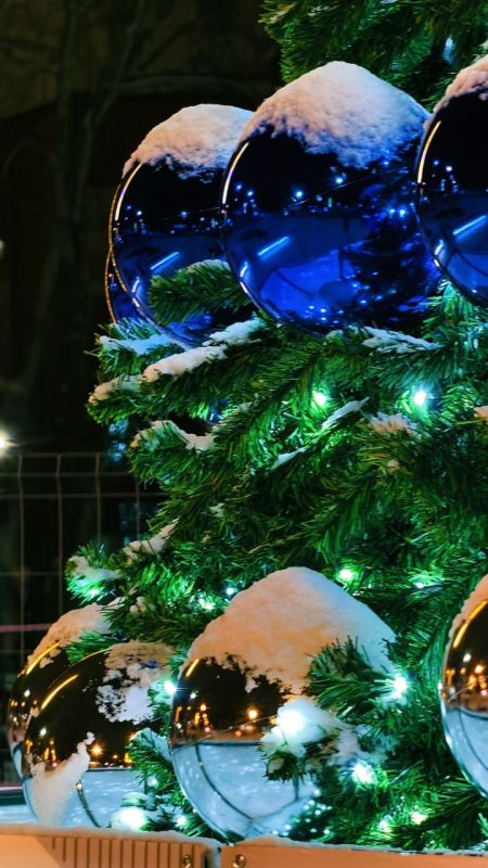 �� ������ ���� ��� �������� 7 ����!