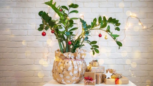 �������������� ��������� �������� � ����������� ���������