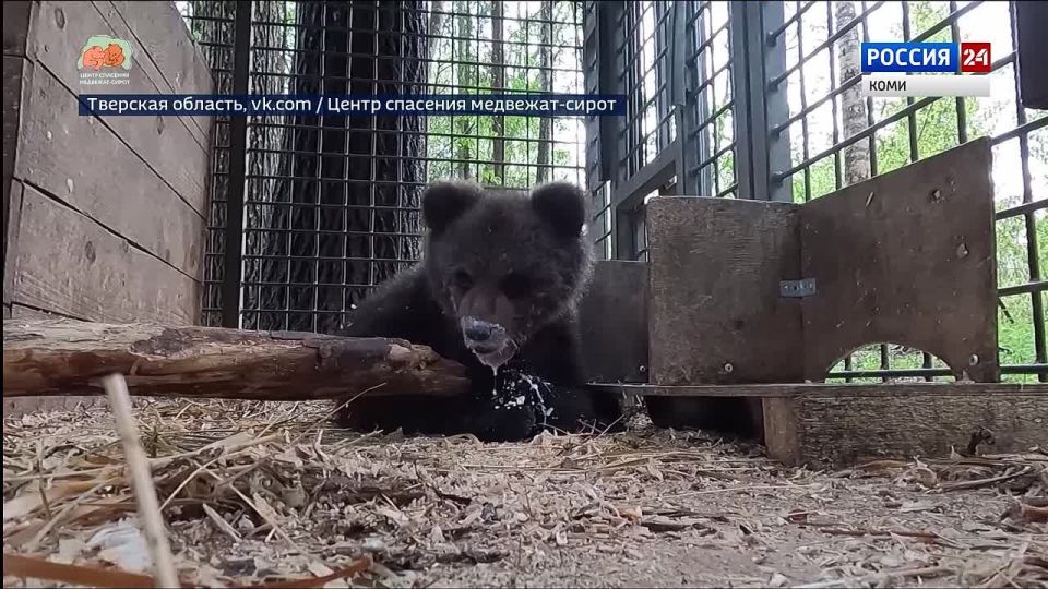 ��������� ���� �������� �� ������� � �����