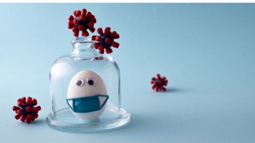 ��� ���������� �� �������: ������ �� �������� ����������