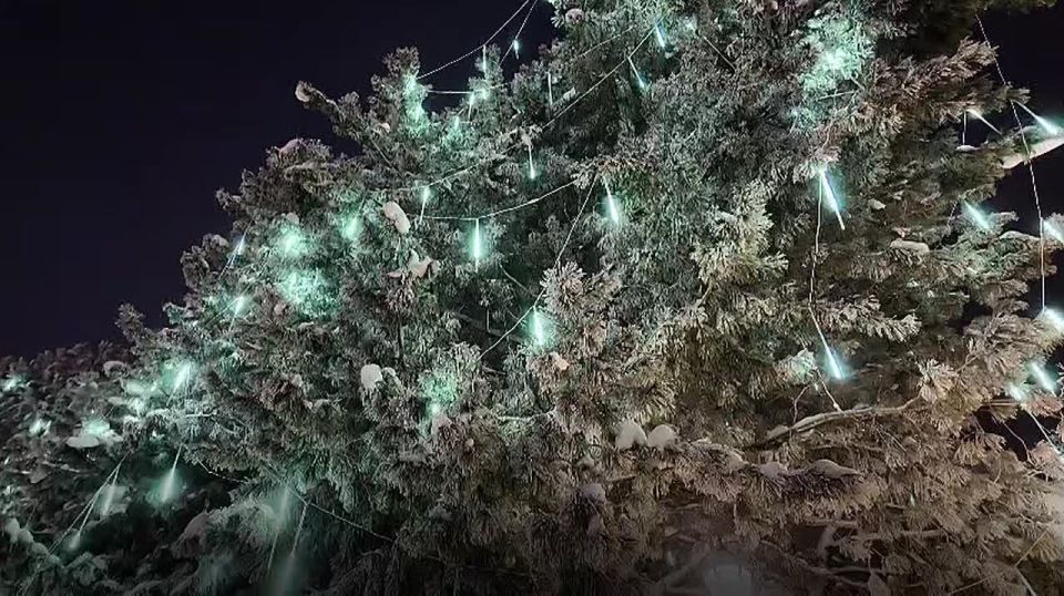 ������ ��������: ������, ���� ����� �������� �������� � ������� ����������� ������� �� �������� ����������� ������������� �����