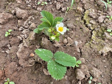 �������� � �����: ��� ���������� �������� ����� � ������� ���������