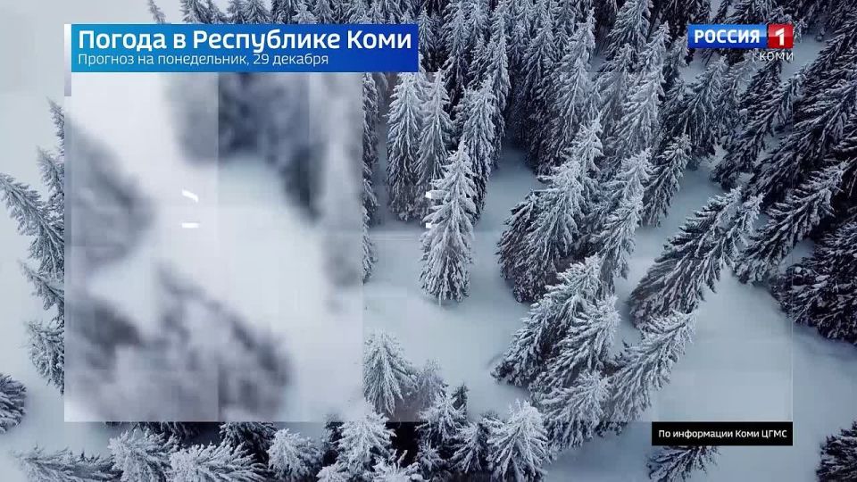 ������� ������ � ���������� ���� �� 29 �������