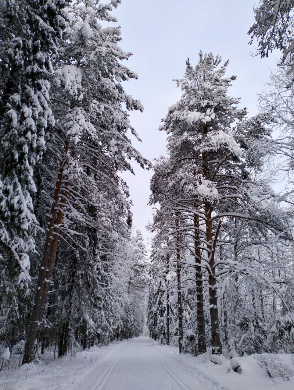 Максим Мартышин: Друзья! Фотографии настроения выходного дня от подписчиков! Спасибо за душевные фотографии! Добра! Максим Мартышин: Друзья! Фотографии настроения выходного дня от подписчиков! Спасибо за душевные фотографии! Добра!