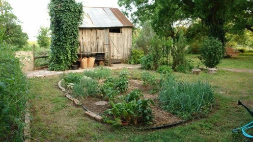 Как создать идеальный сад под деревьями: растения, которые будут счастливо расти в тени