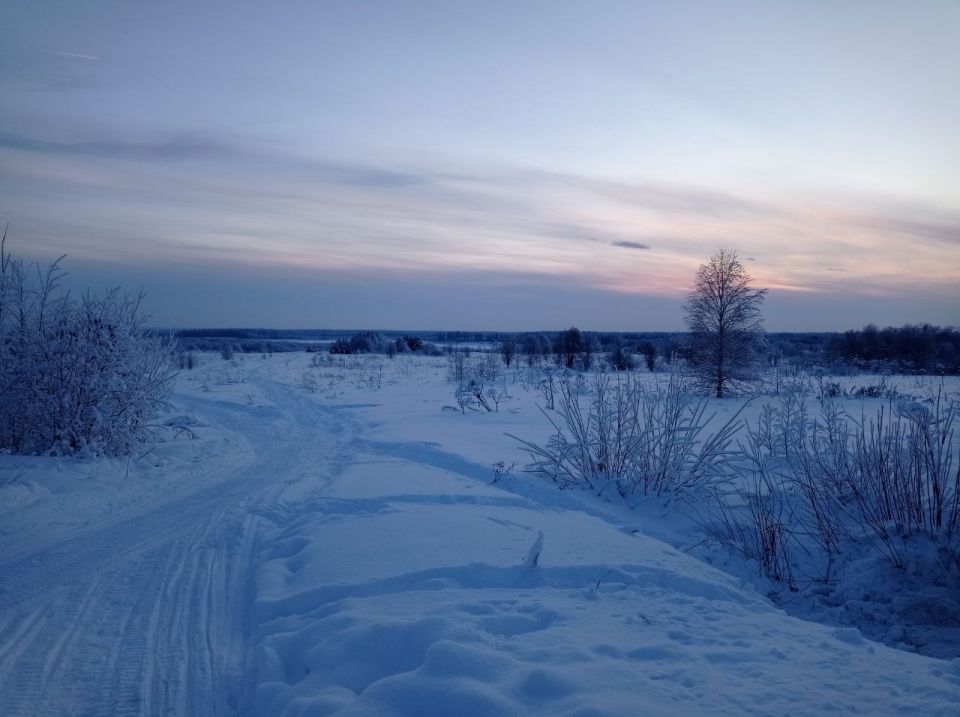 ������ ��������: �������� �� �������� ������, �������� �� �������