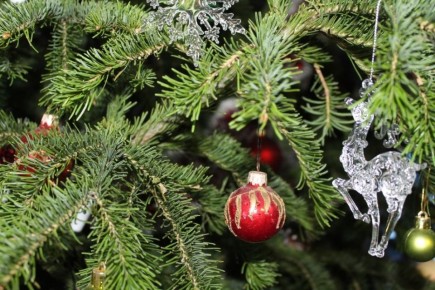 Шесть оригинальных способов, как использовать елку после праздников