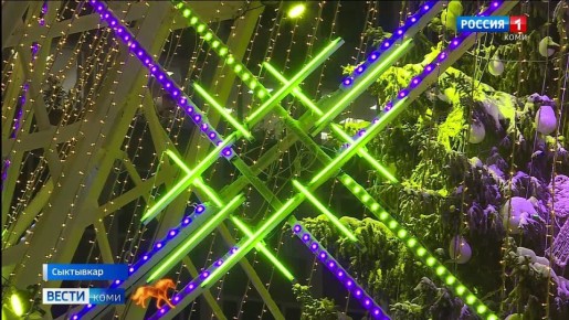 � ��� ������ �� ������������ ������� ���������� �������� ���������� ��������� � ��� ����� ����-��� �������� ������