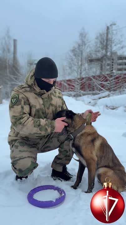 Любишь – значит обучишь!. Такова мораль очередного видео серии #ТвойДругТвойЗащитник, подготовленного специалистом по служебному собаководству из Управления Росгвардии по Республике Коми