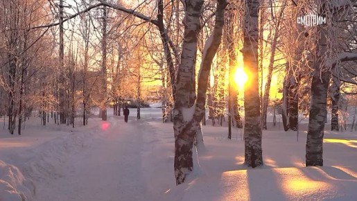 ����� 50 �� ����������, ���� ��������� ���� � ����������: � ������ � ���������� ���� ������ ������������� ������