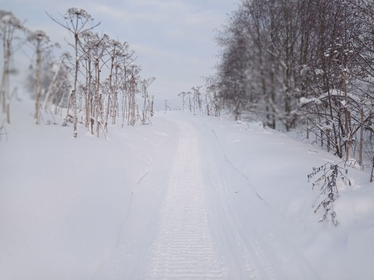 Максим Мартышин: Есть такая традиция, в наступающее Рождество съездить на рыбалку Максим Мартышин: Есть такая традиция, в наступающее Рождество съездить на рыбалку
