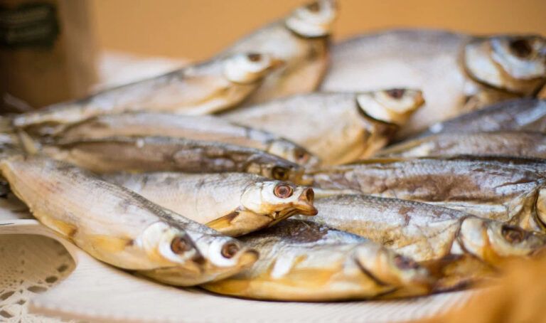 ������ � ������ ��������: ����� ���� ������������ �������� � 2026 ����?