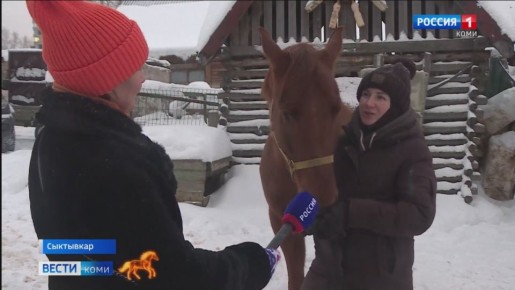 По восточному календарю 2026 год проходит под знаком Лошади