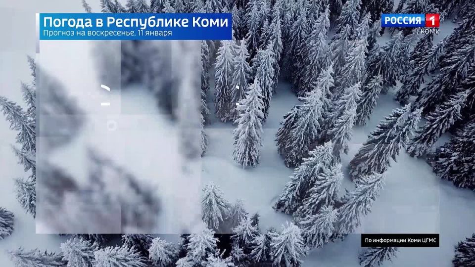 ������� ������ � ���������� ���� �� 11 ������