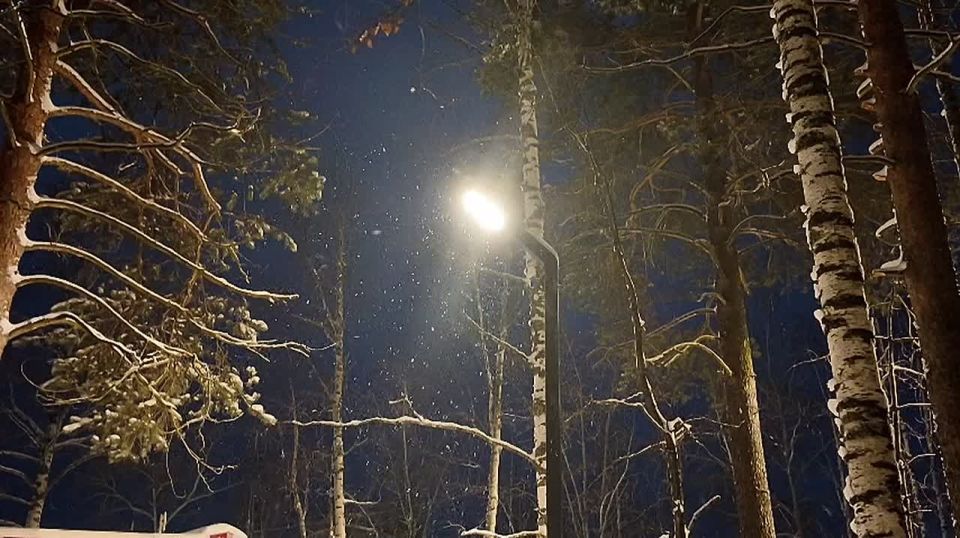 ������ ��������: ���� ������ ��������� ����!