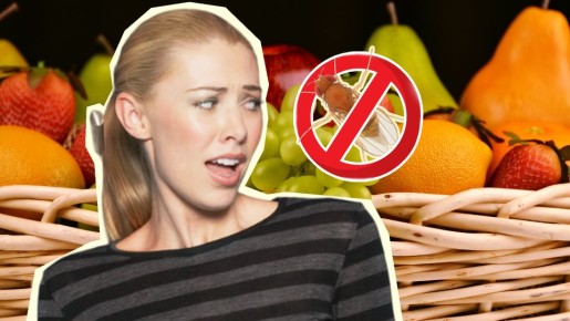Мята и гвоздика тут не помогут: как избавиться от плодовых мошек дома