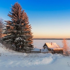 ������ ������� ������ ������ ����� ��������