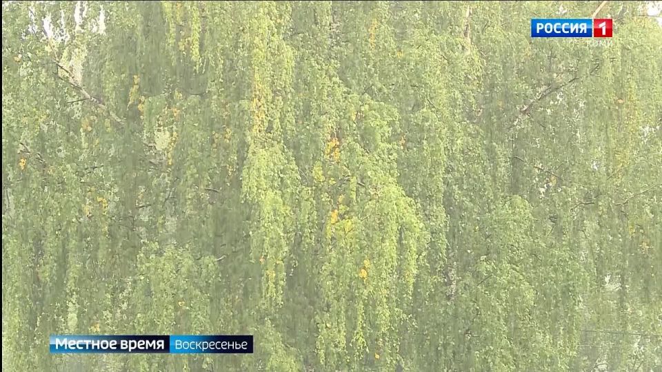 ��������� ���������� ���� ������� ����� ���������� ����