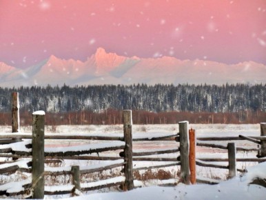 ������� ����� �� ����������� ����� � ��������� ������� ��������