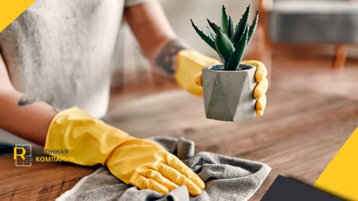 ������� � ����� ����: ��� ������� ������� ���� � ������� ������� �������