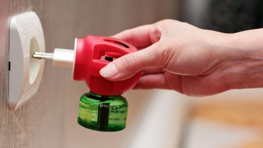 ���� ��� ����� ��� ����������: ���� ������� ������� ������� ������ �� ����