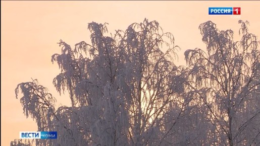 ���� ���������� ������: ����������� � ���� �� ���� ������ ����� ���� ������������� �����