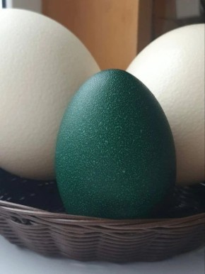 ������ ���� �� ���� ���� ���� ������ ����