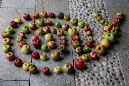 Тайны slow food: как замедленная еда помогает сохранить природу и здоровье