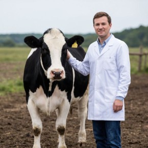 � ���� ��������� ������ �����������