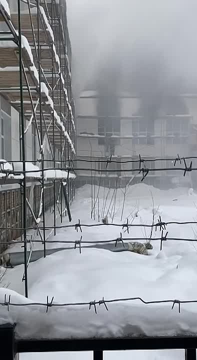 До 18 человек увеличилось количество пострадавших при взрыве светошумовой гаранты в Центре профессиональной подготовки МВД России по Республике Коми